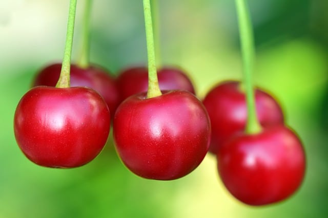 דובדבן Cherry