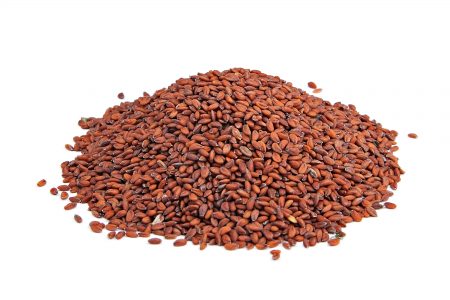 זרעי ראשד / חרדל אדום  – Cress Garden Seeds