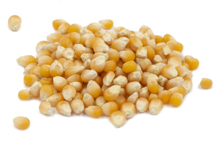 גרעיני תירס קילו – Corn